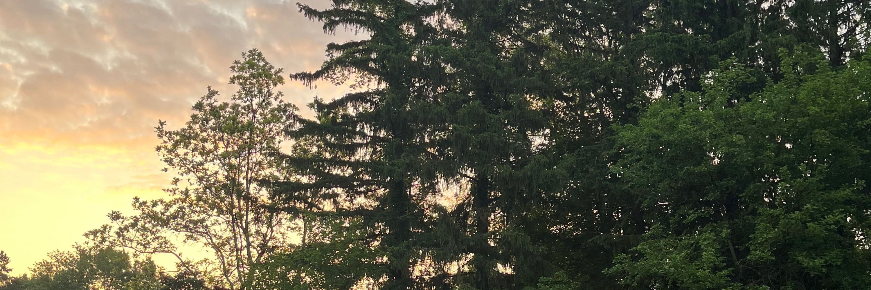 Imogene_moon13
