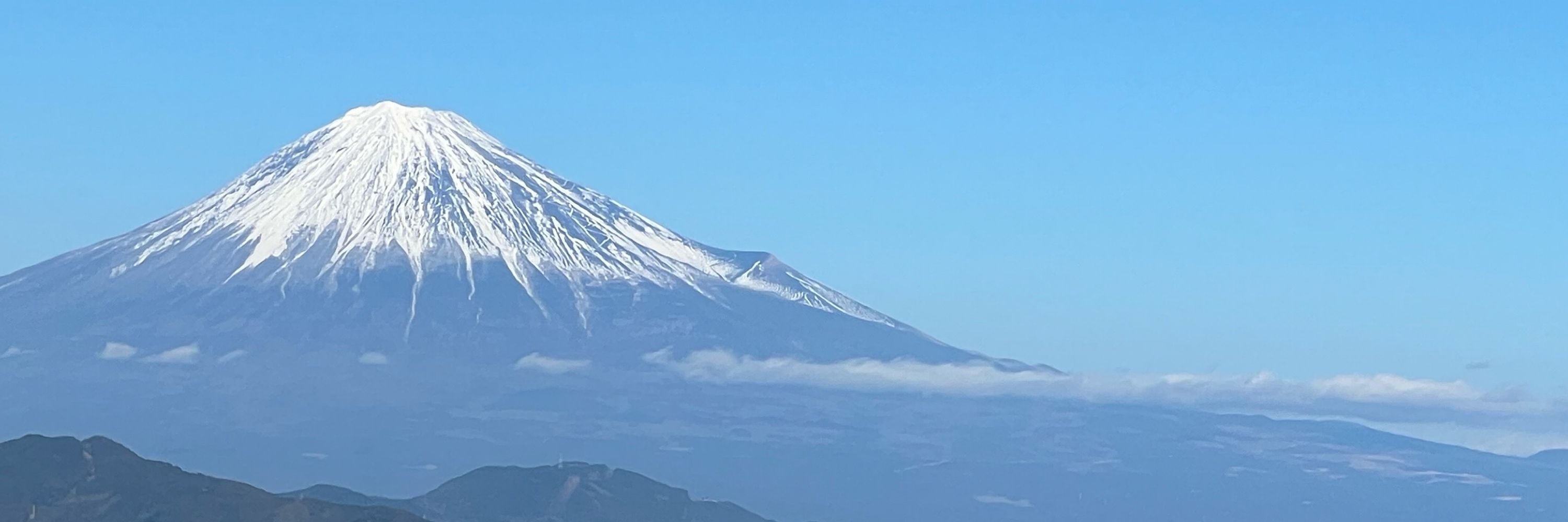 とらパンD