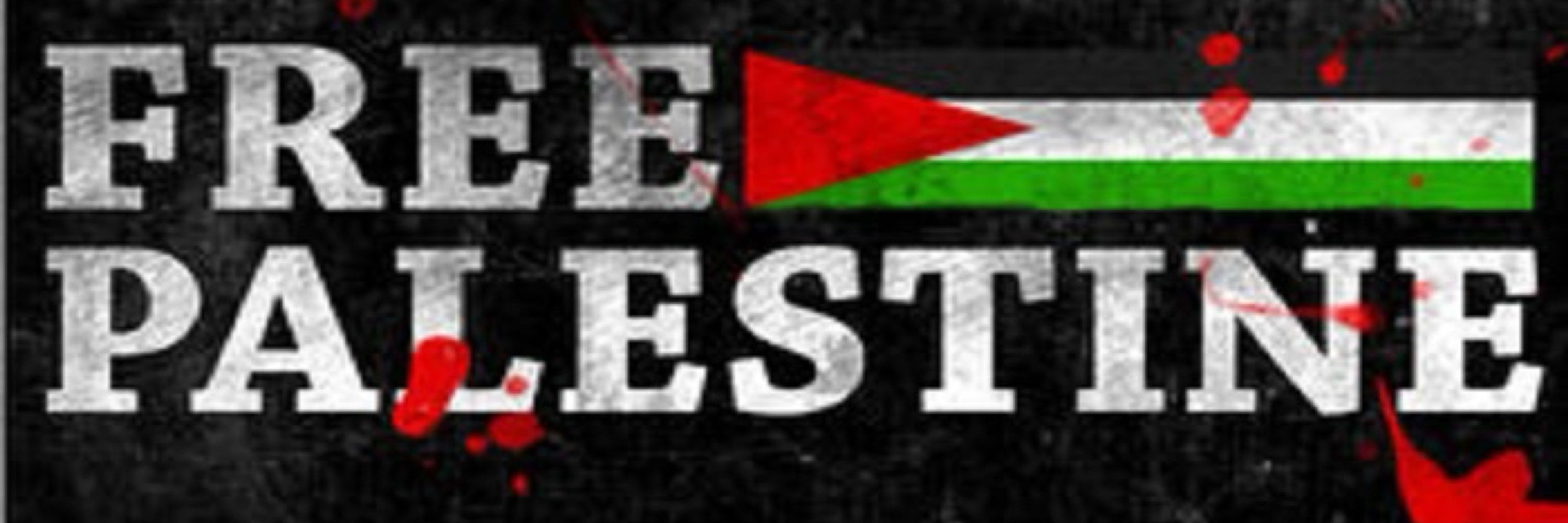Cringe Dad 🇵🇸🔻🇮🇷🇱🇧🌹