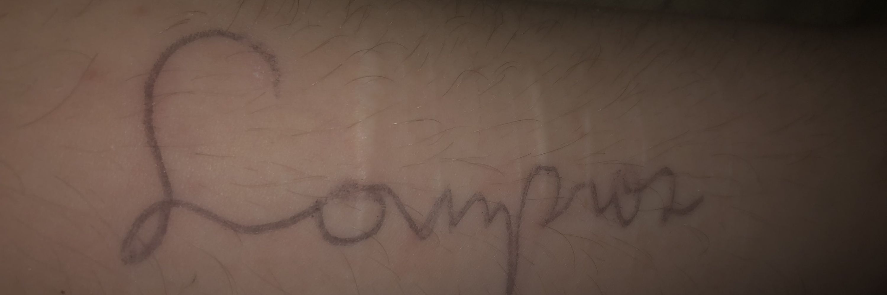 lampros 🧬 ㅤ  ㅤviscant brother