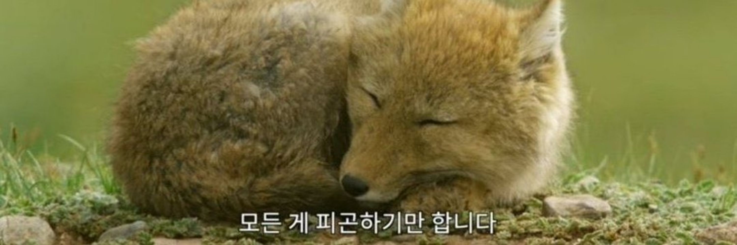 집에 있고 싶은 사람
