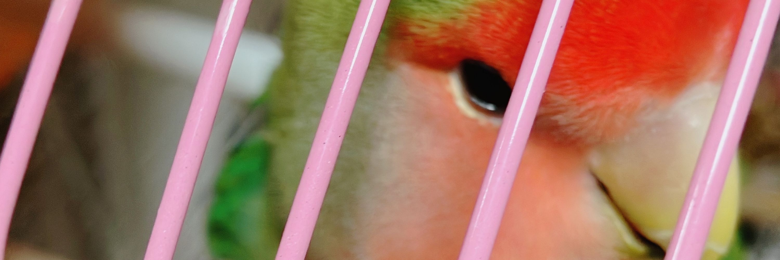 こ*ゆ