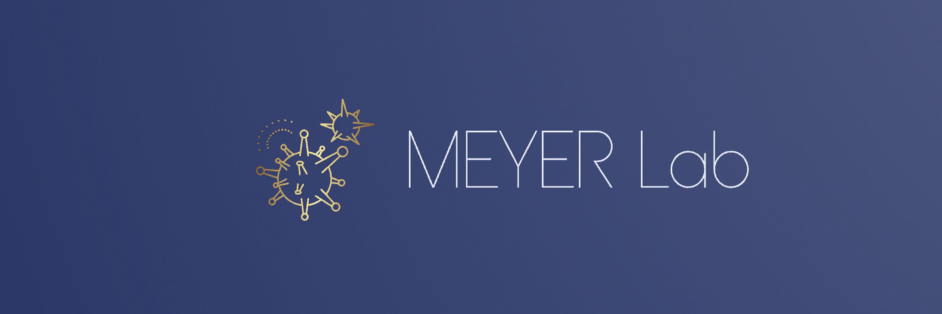 Björn Meyer