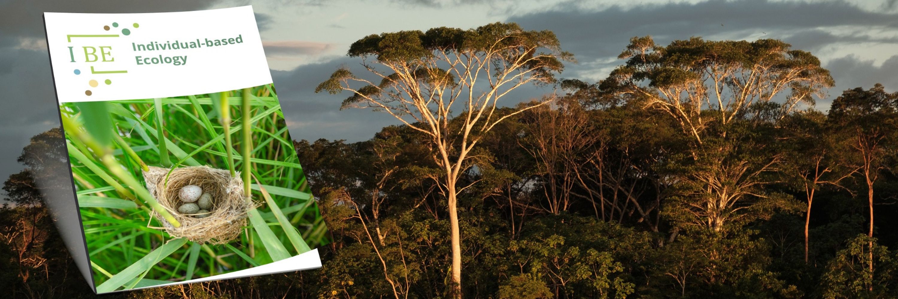 Individual-based Ecology