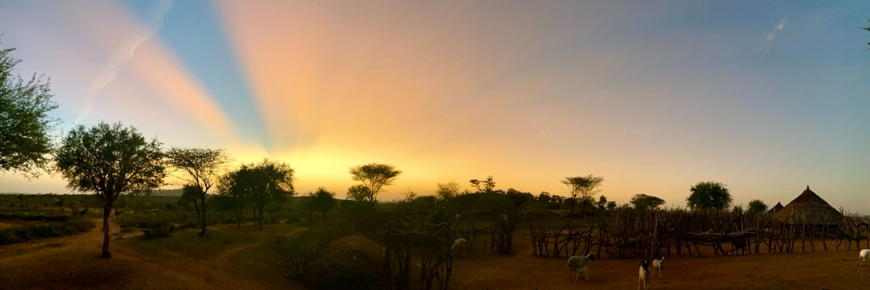 Omo Valley Research Project