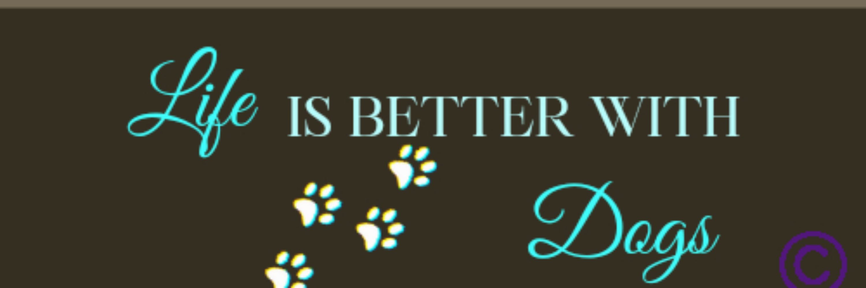 🐾𝔽𝕣𝕠𝕤𝕥𝕪🐾