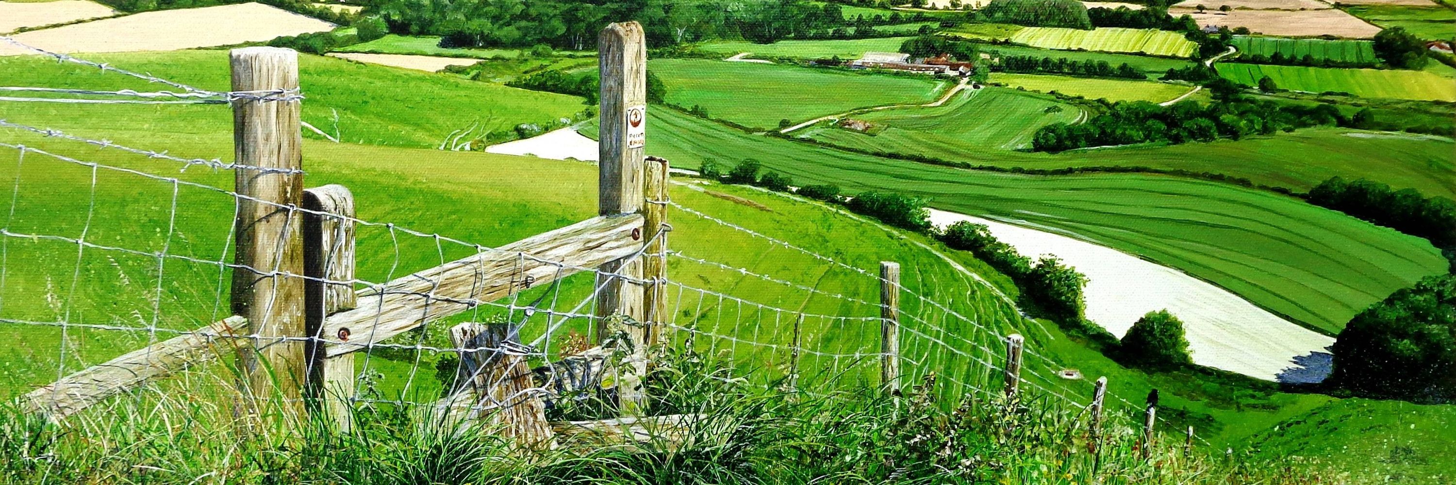 Paula Oakley Art 