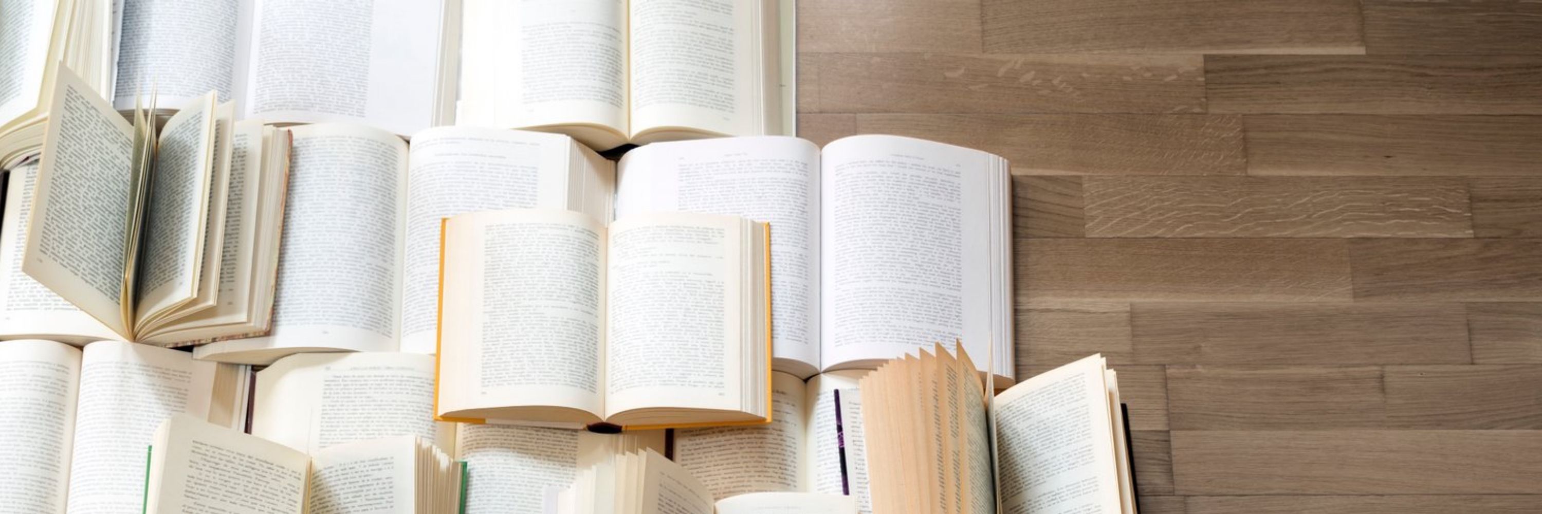 Julie Fergusson – literary agent