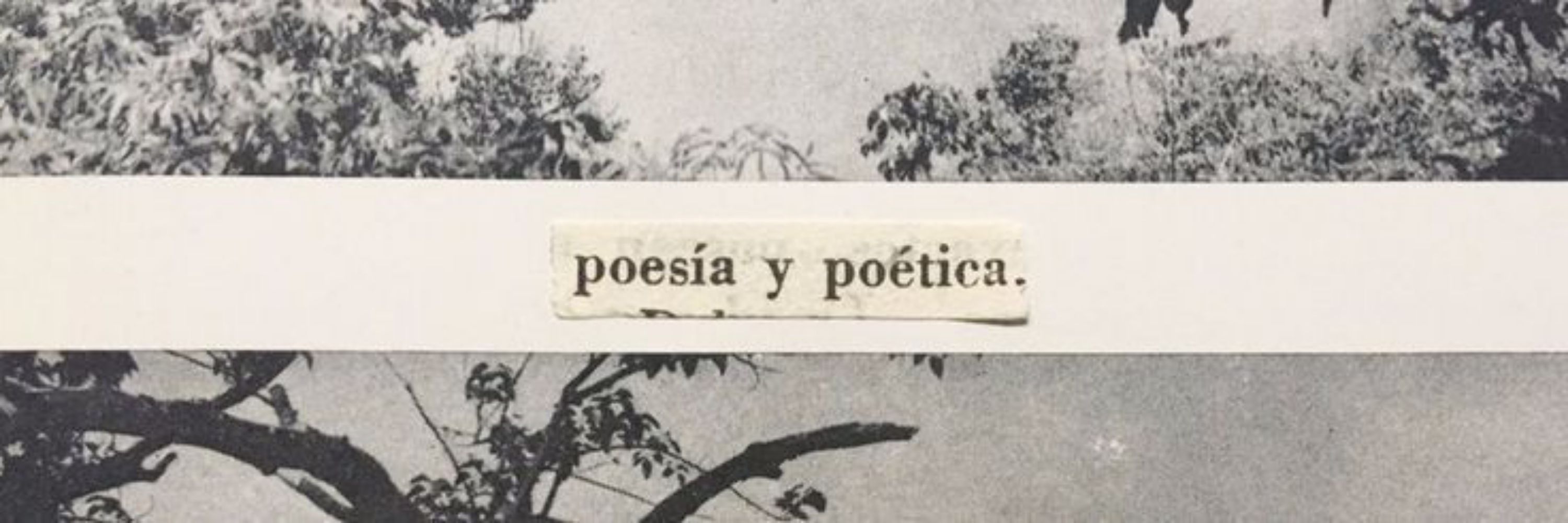 Antonie 