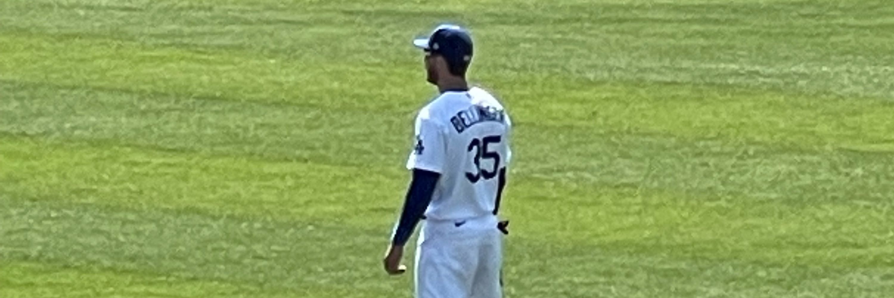 vaness