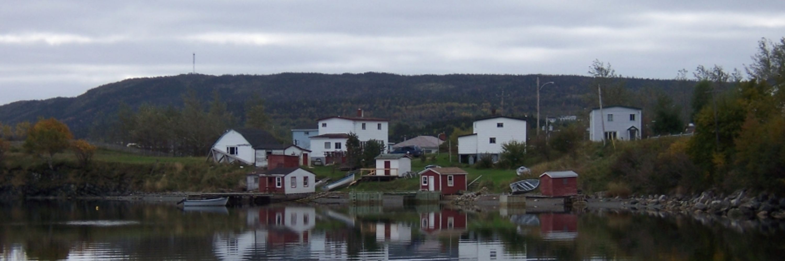 NFLD709