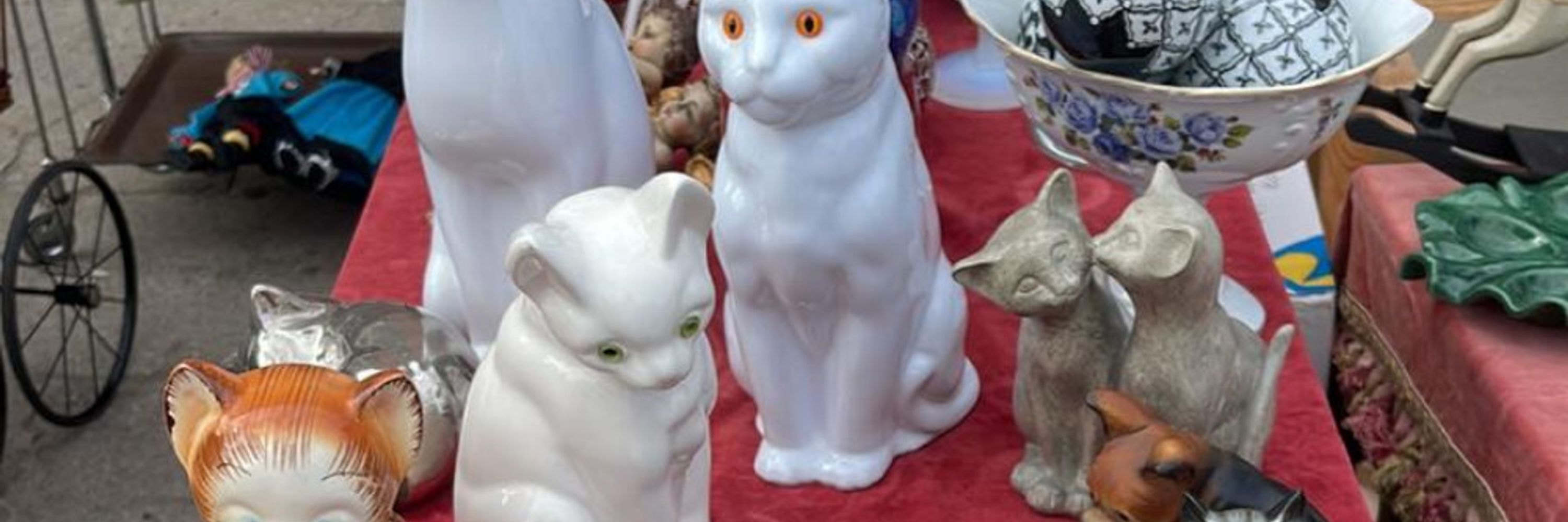 Random Cats