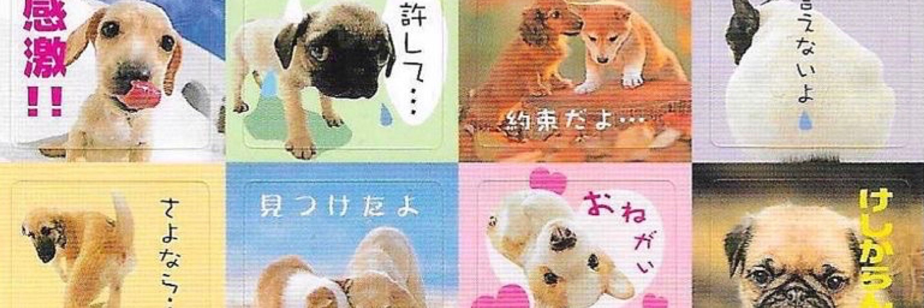 ♪★ eel_gun123 ♡✿