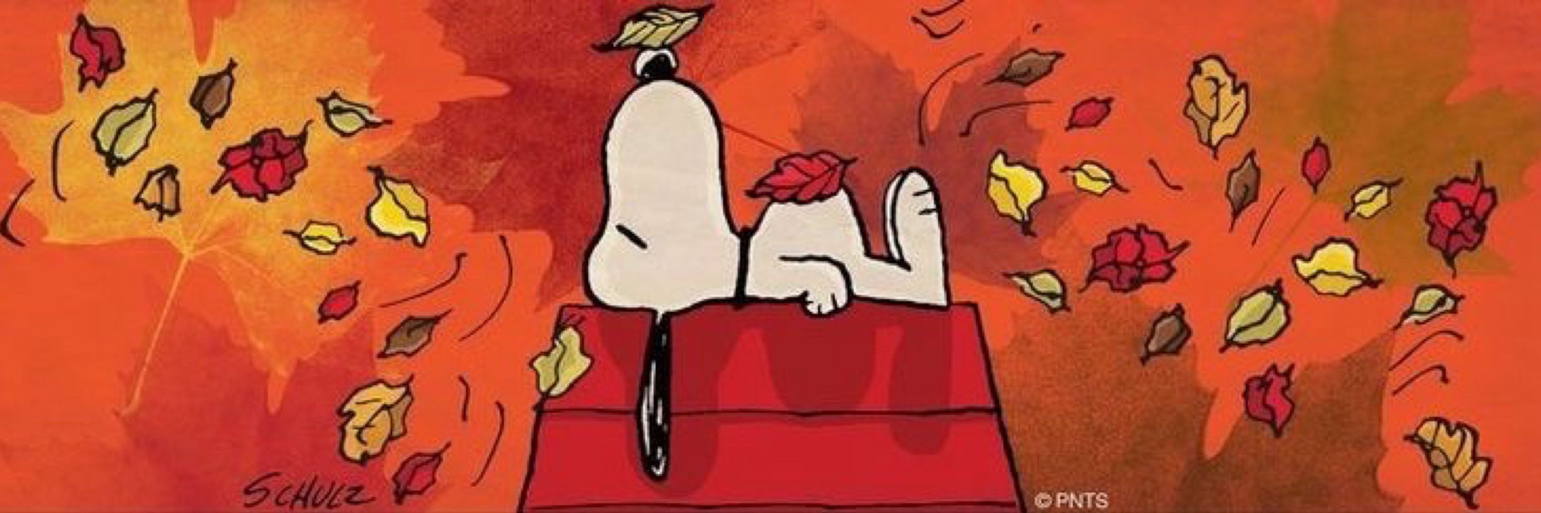 apple krysps and pumpkin spice