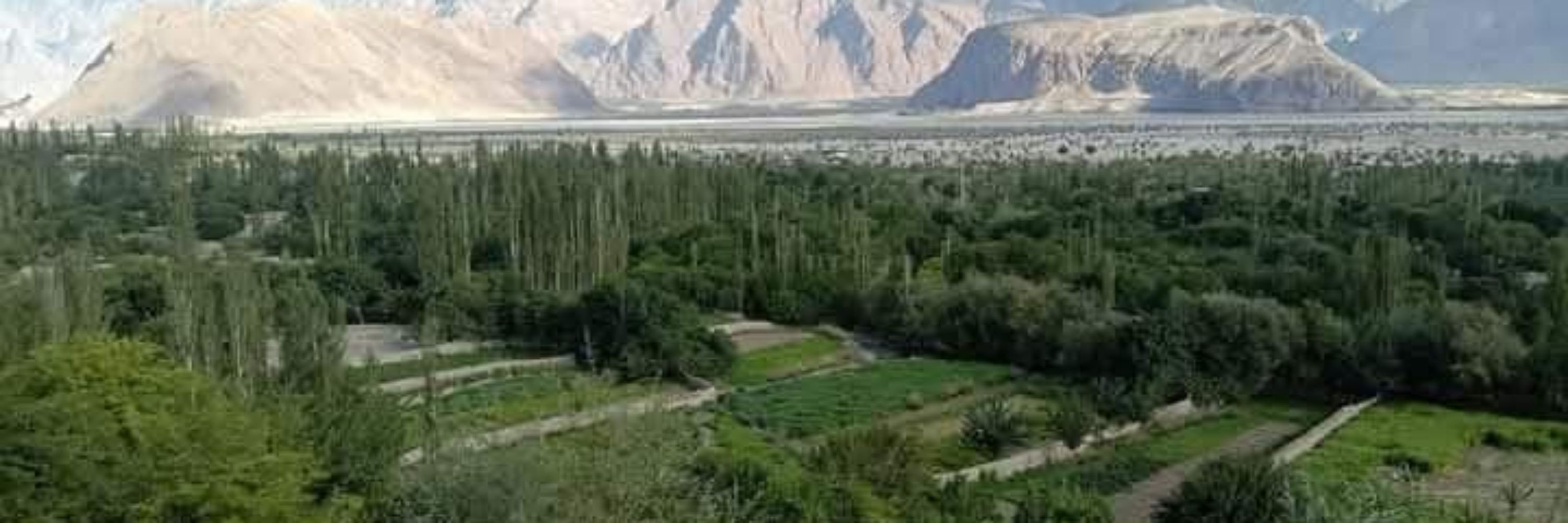 Mubashir Mehdi