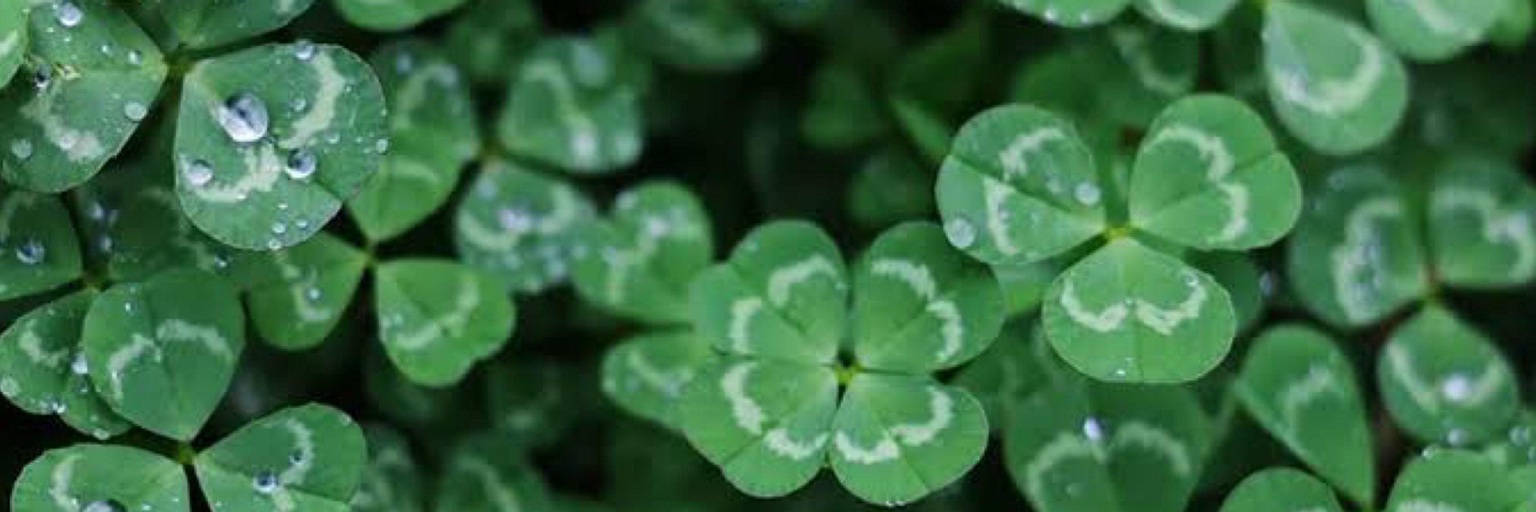 じたんだよ🍀 ̖́-