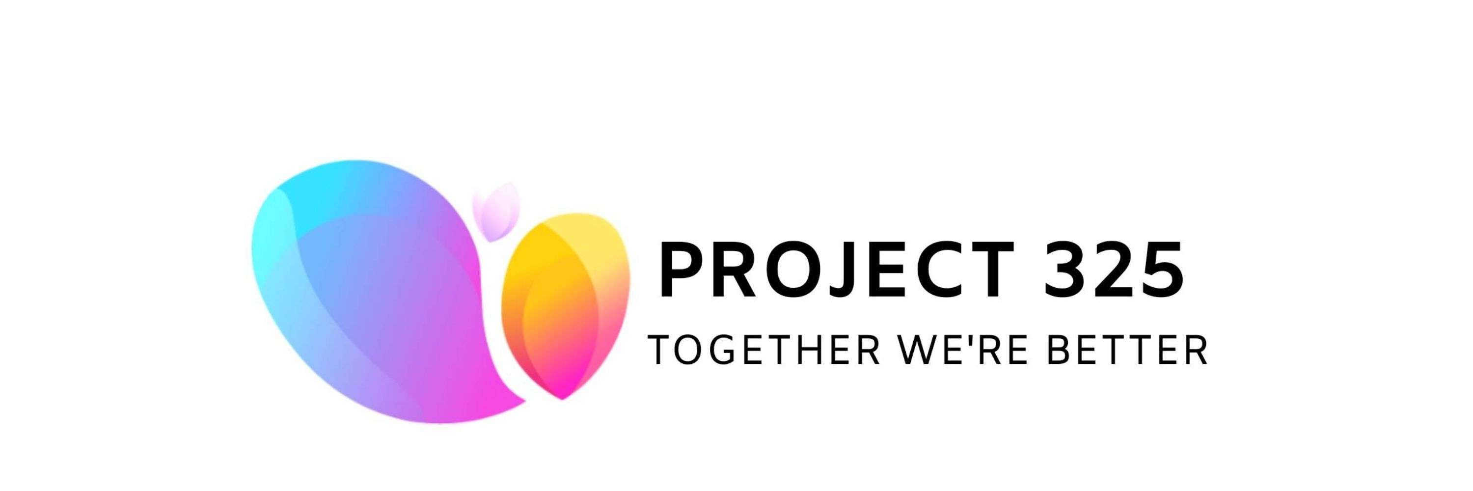 PROJECT 325