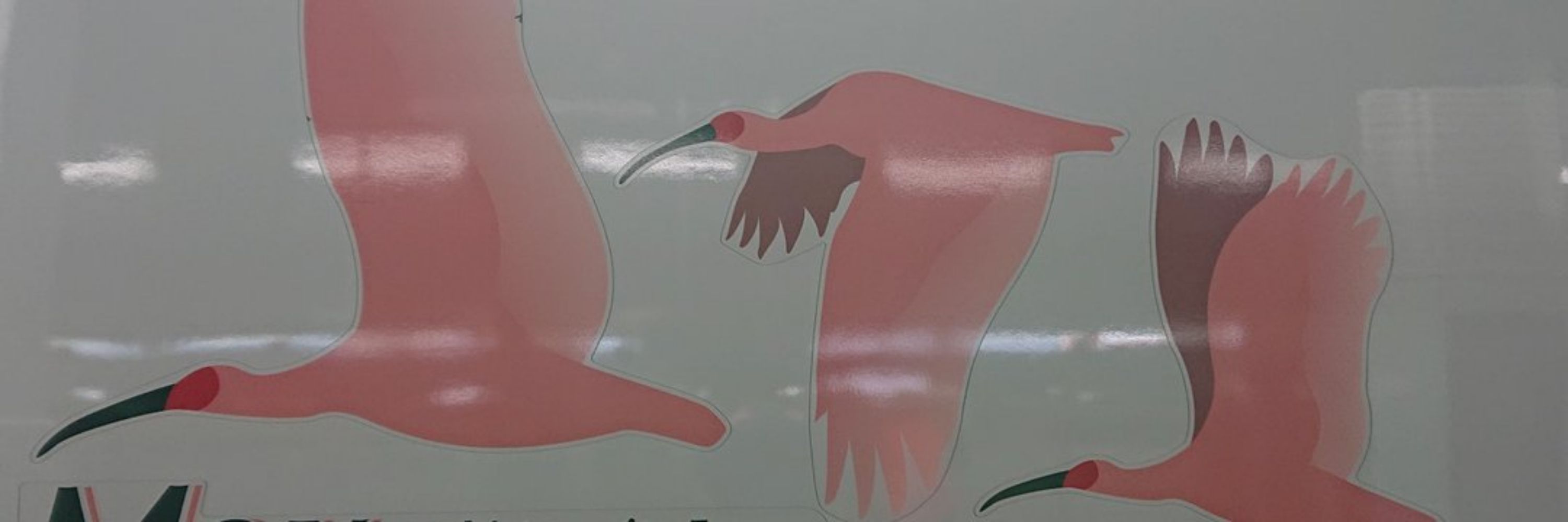 かかし