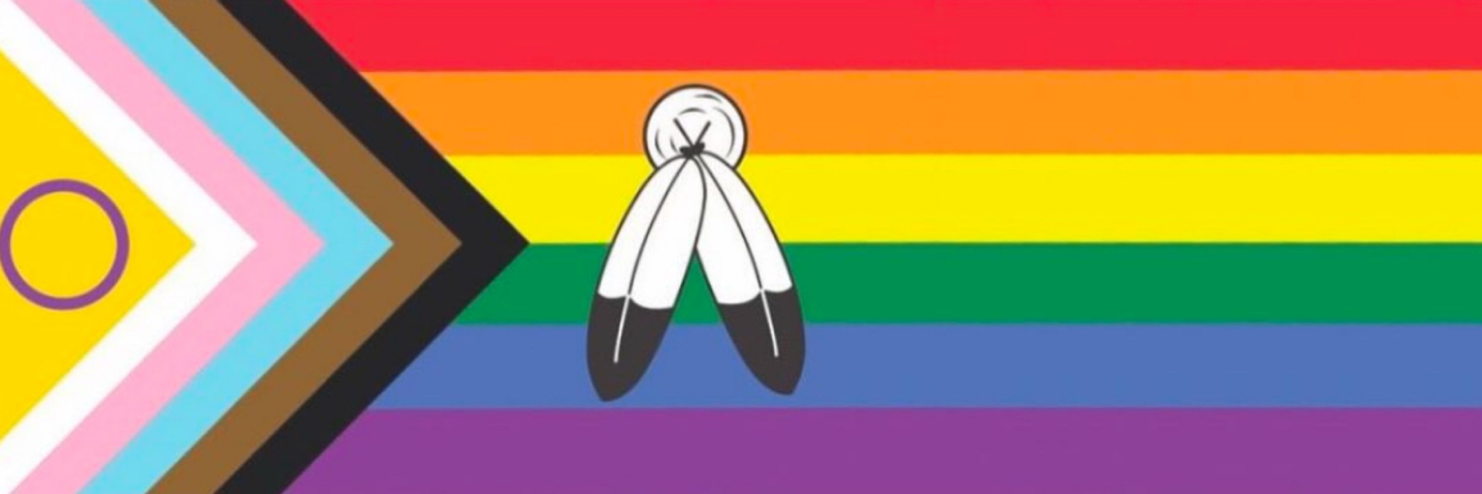 Indigenous Bookshelf🌈🪶