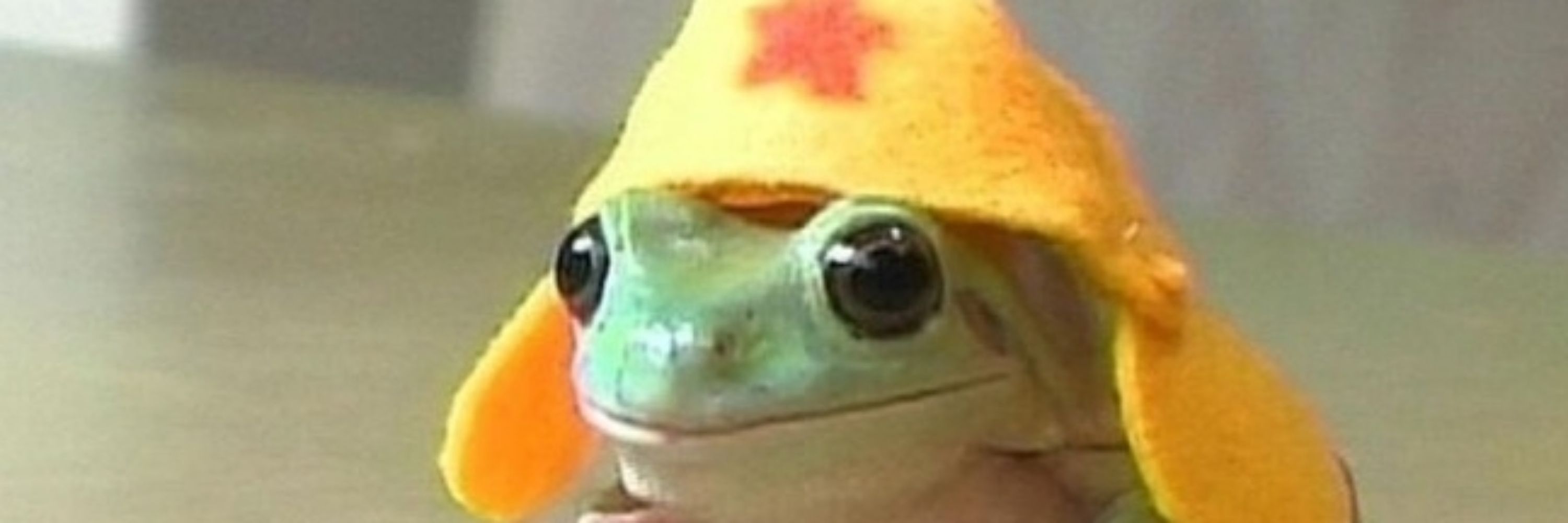 yuuKen