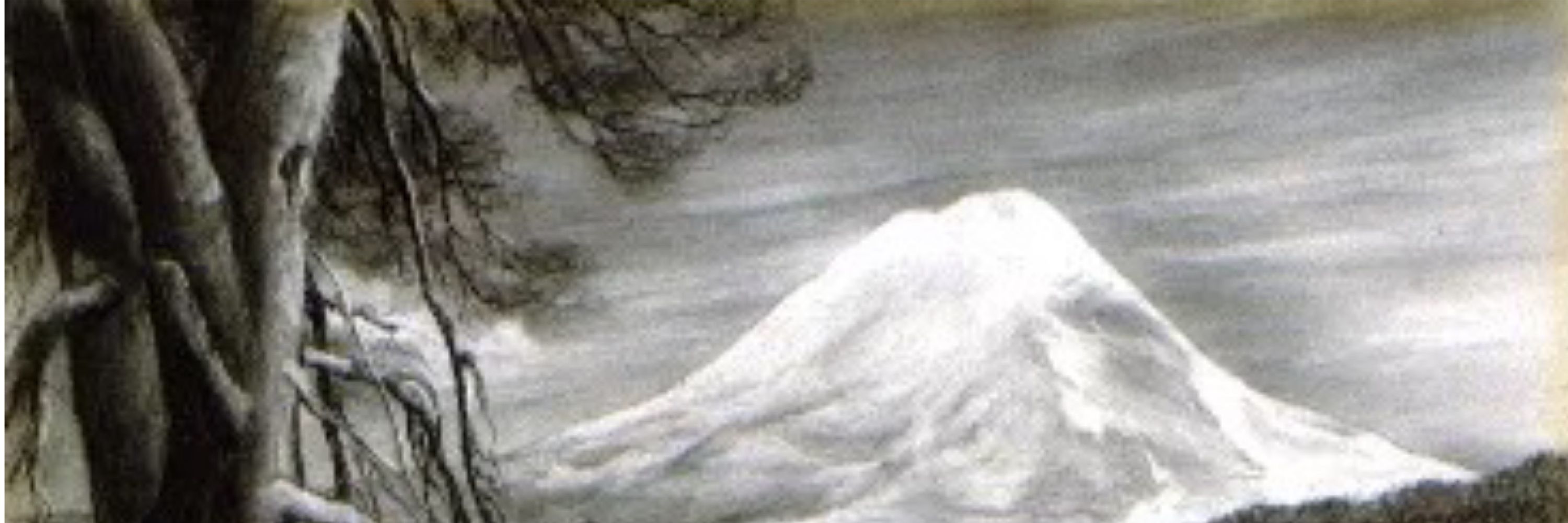 La mujer dormida