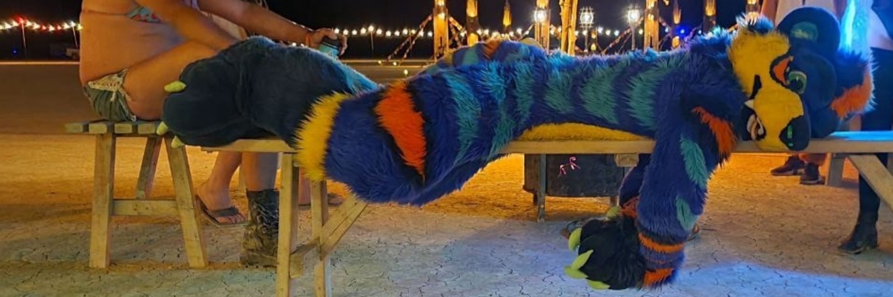 BrEEzyy_The_Tiger🔜)"( Burning Man