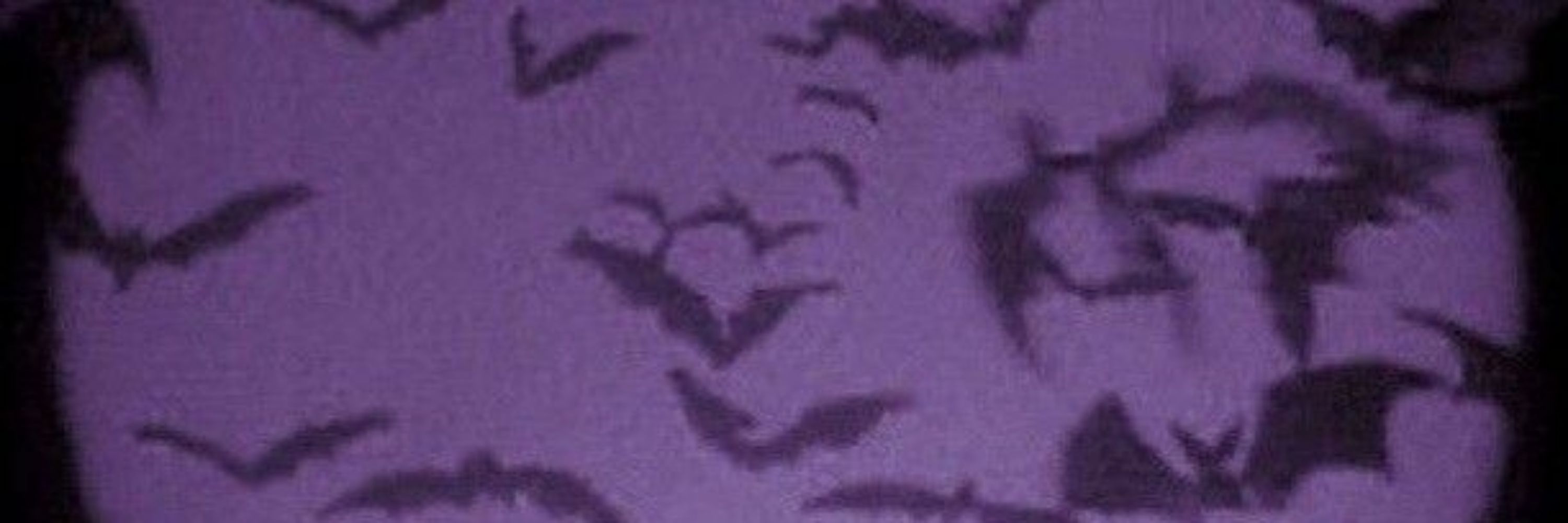 𖦹✮⋆˙price⋆.ೃ࿔*:･
