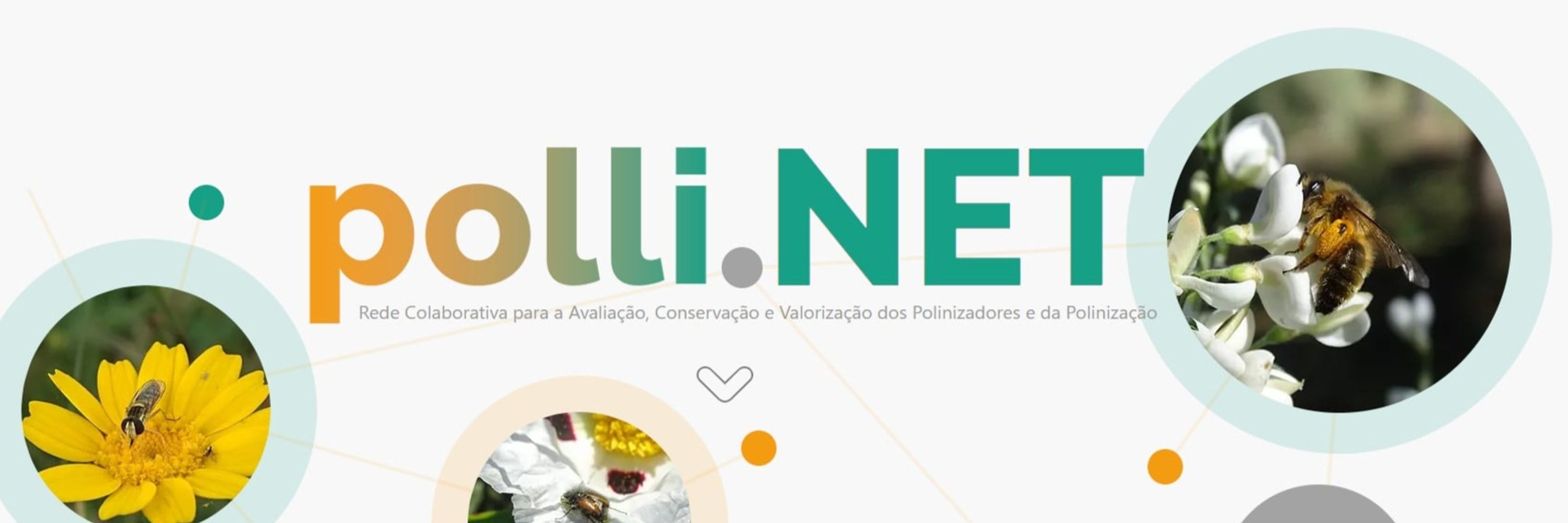 polli.NET