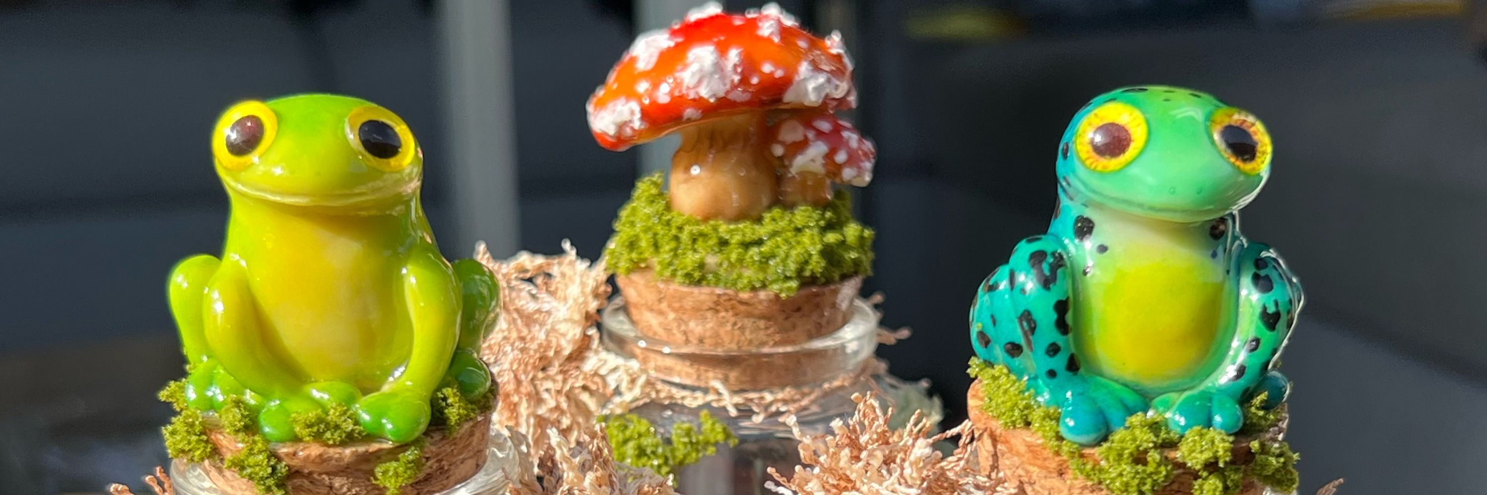 🌳Mushroom Zen🌳