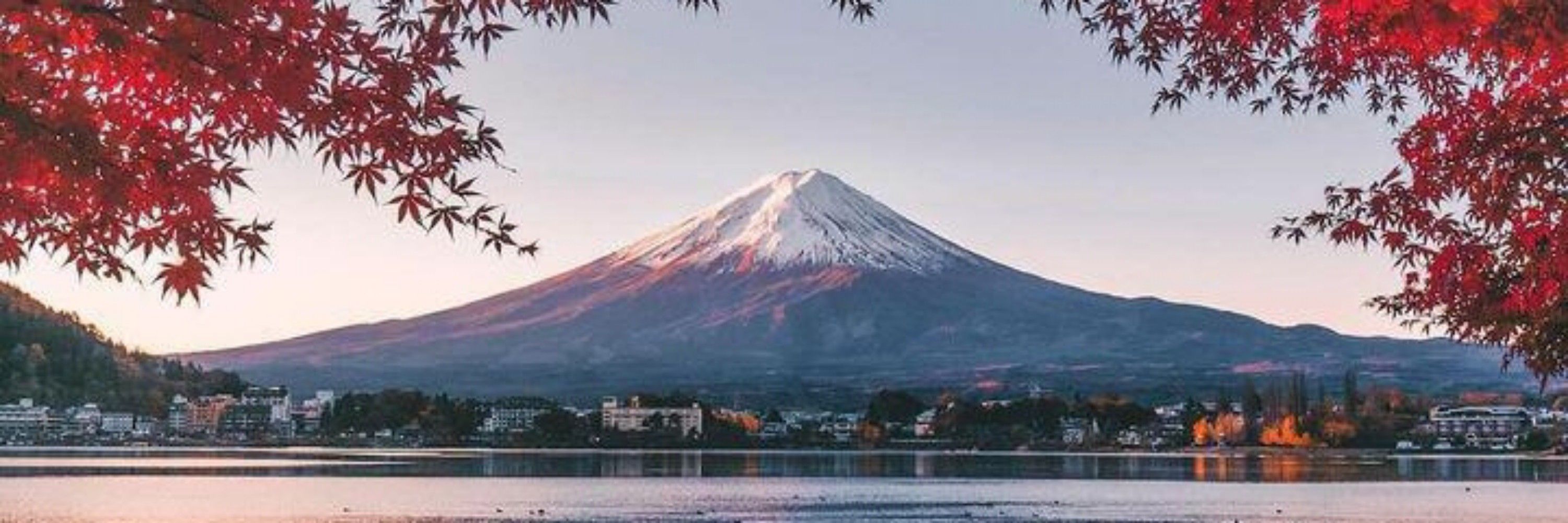 Alto Saotome