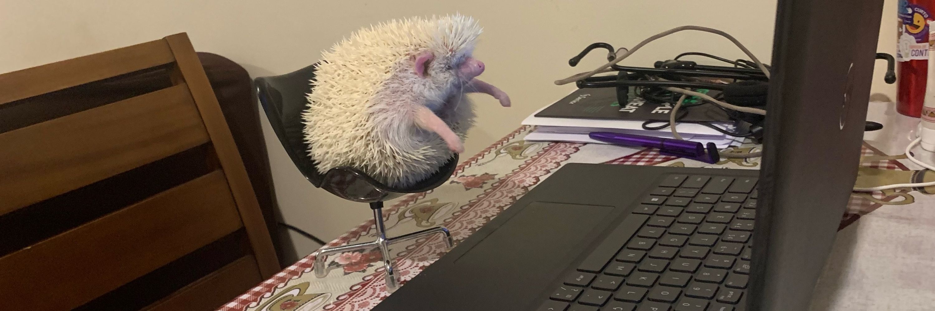 Spyrochoque