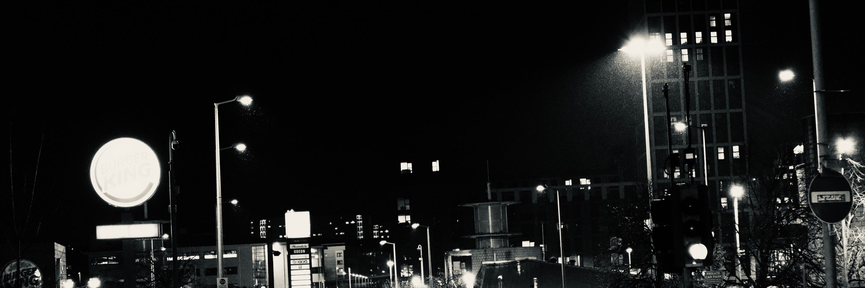 Gemini Photography