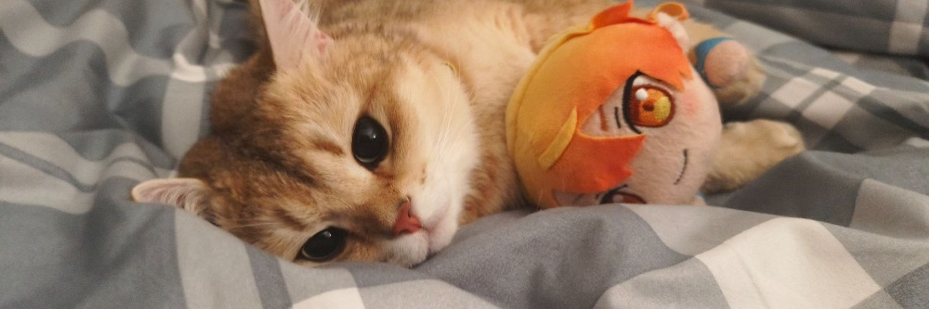 さきこ