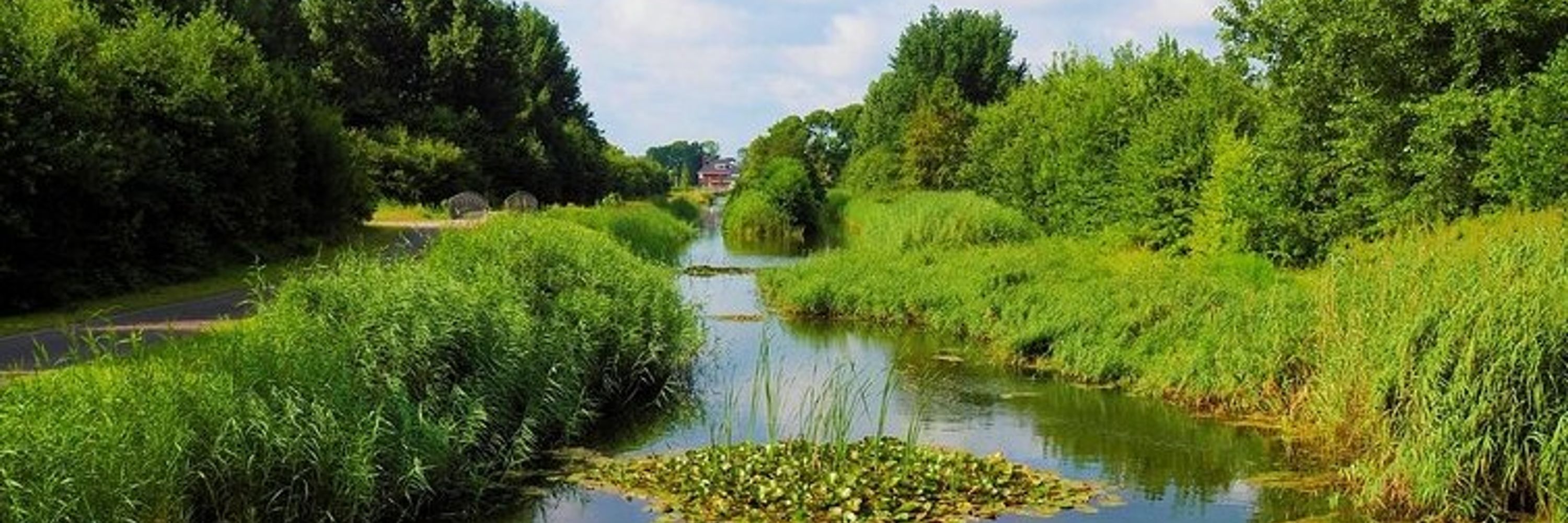 Stichting Deltaplan Biodiversiteitsherstel