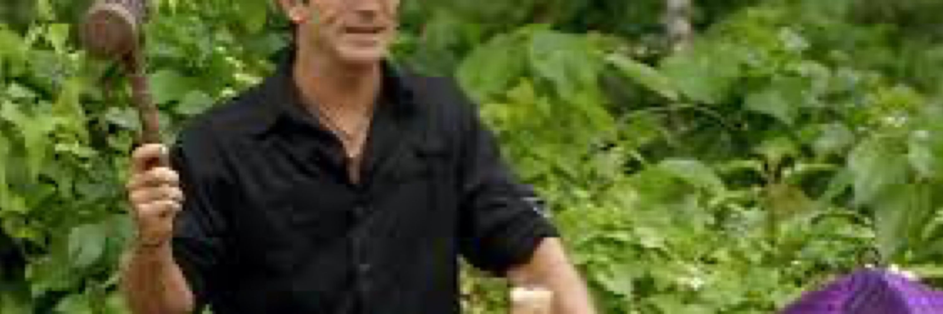 Chef Probst | Harrison