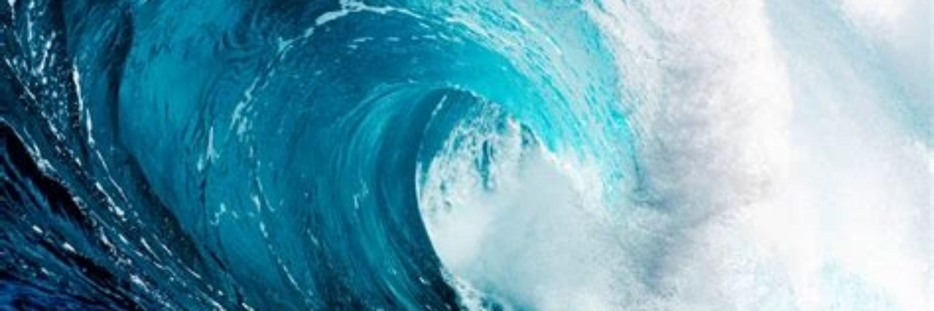 Dani Tsunami 🌊