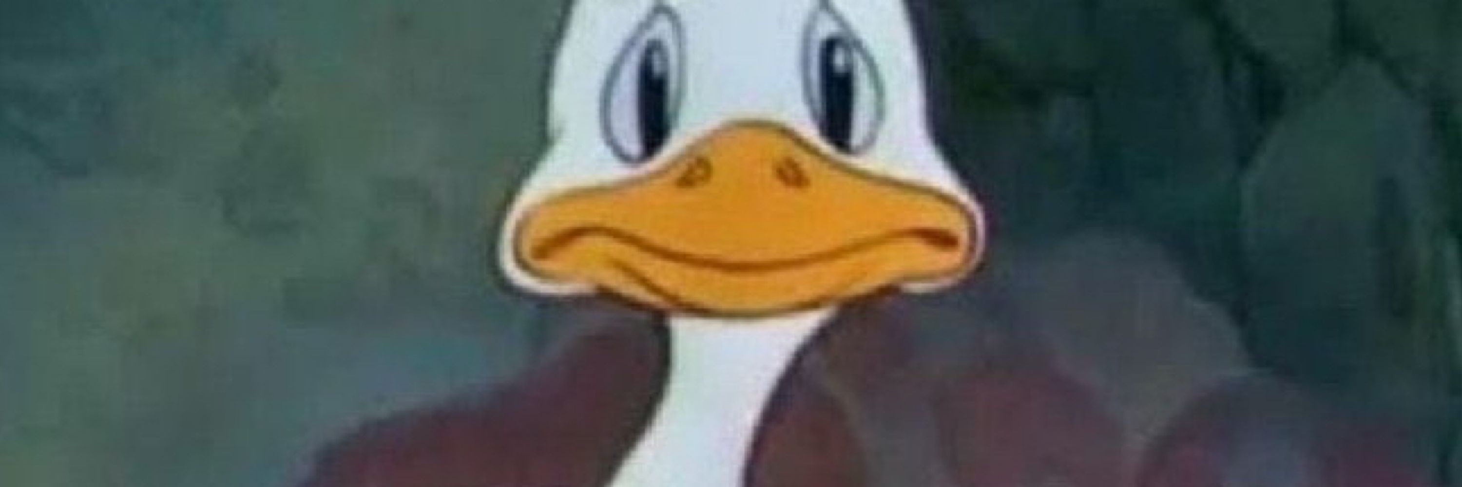 reizinho 