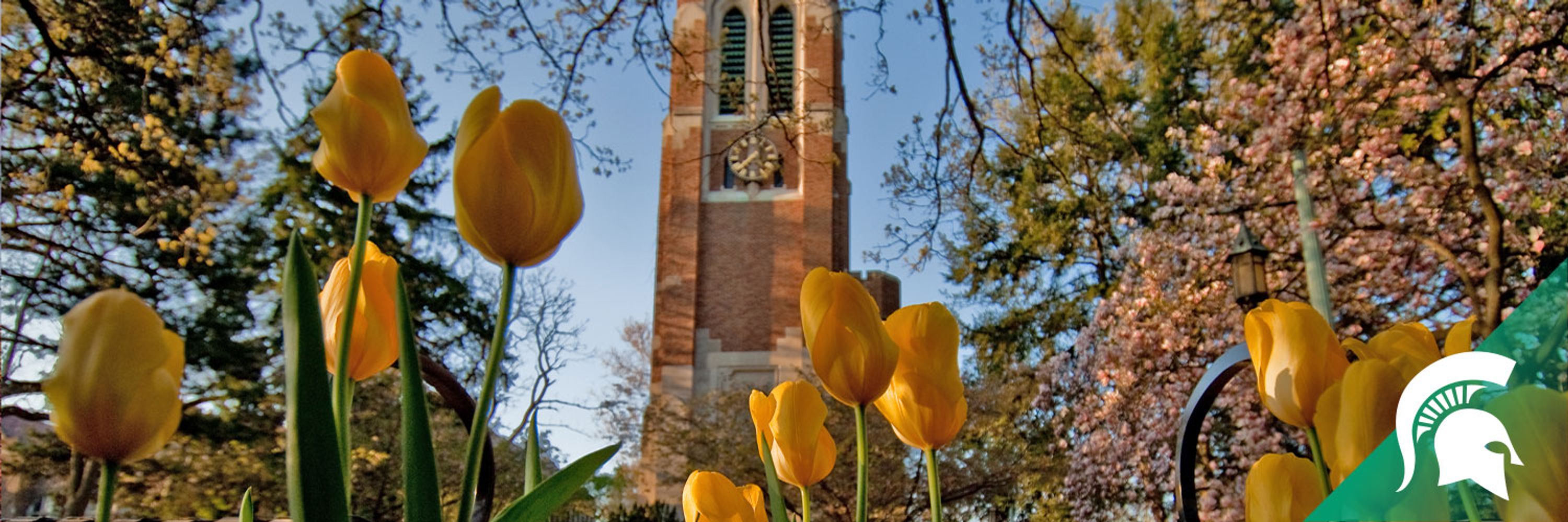 Michigan State University Department of Entomology