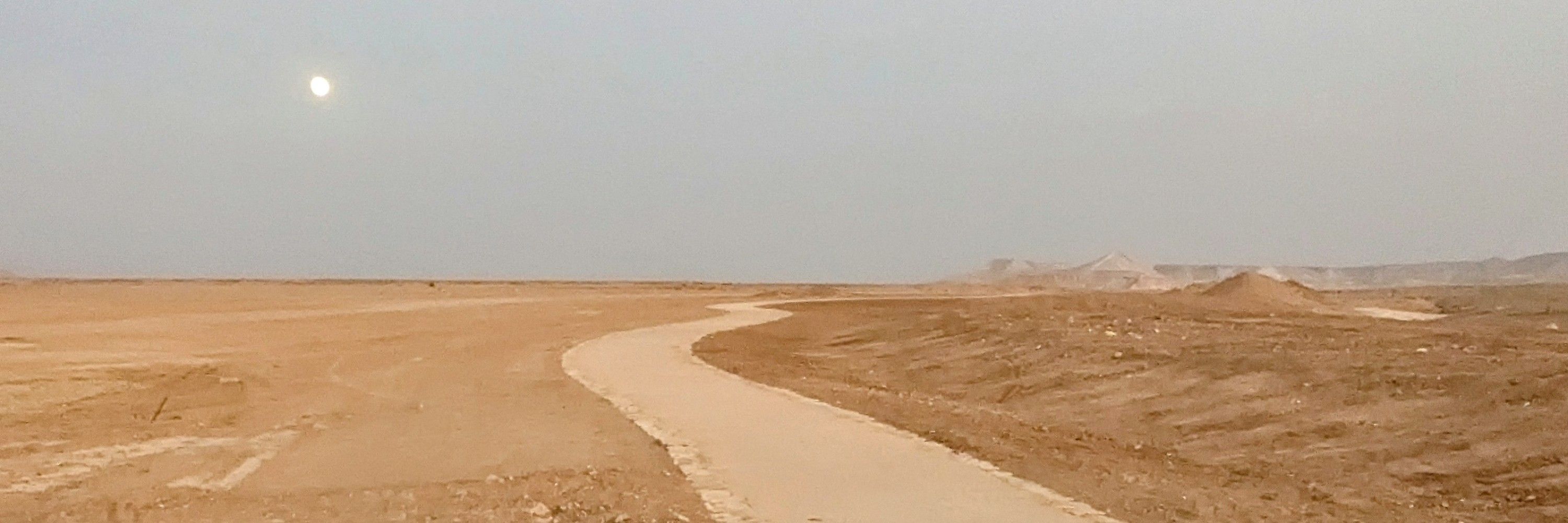RonitKedar 