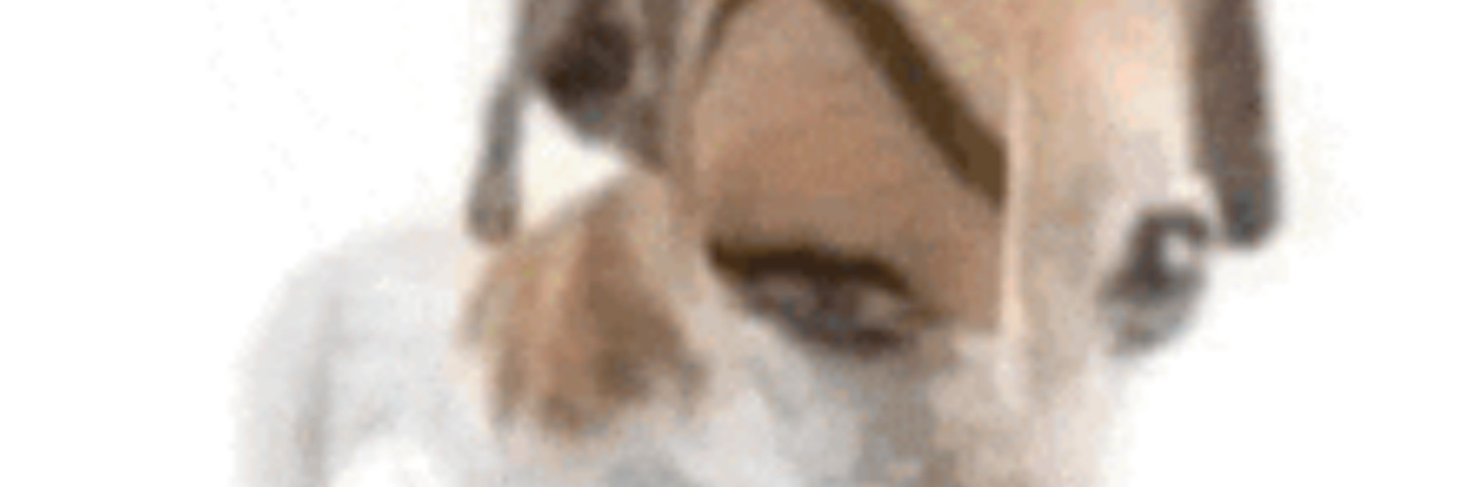 𝕲𝖎𝖓𝖆𝖓𝖟.²