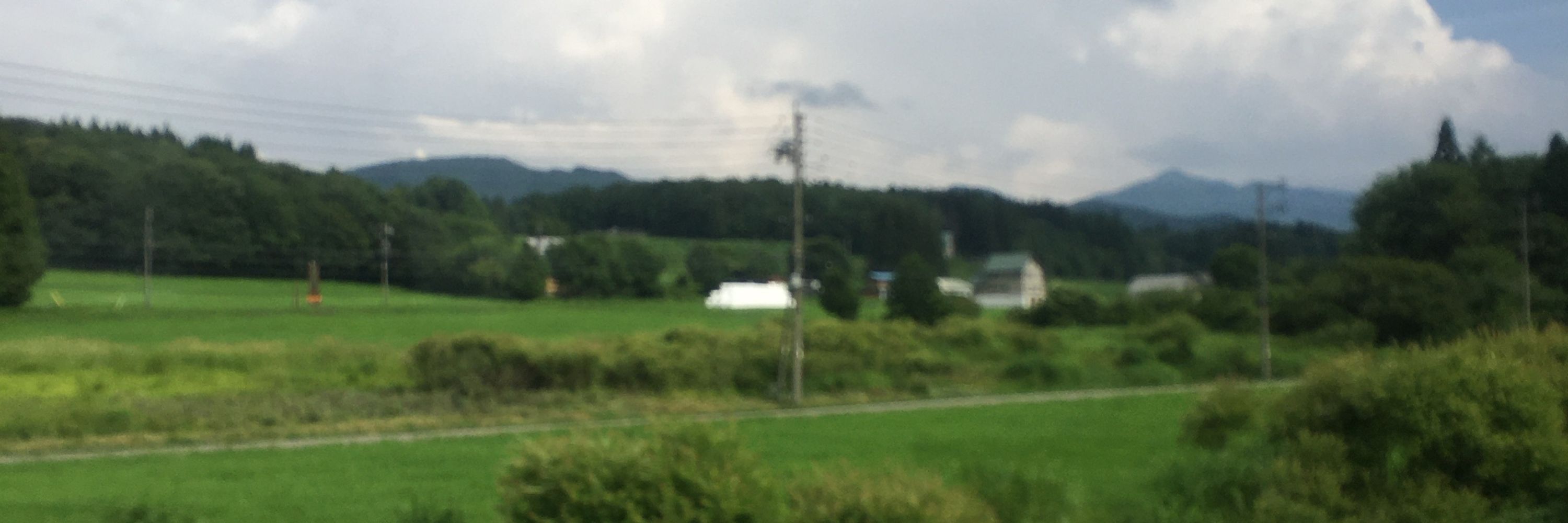 7ee
