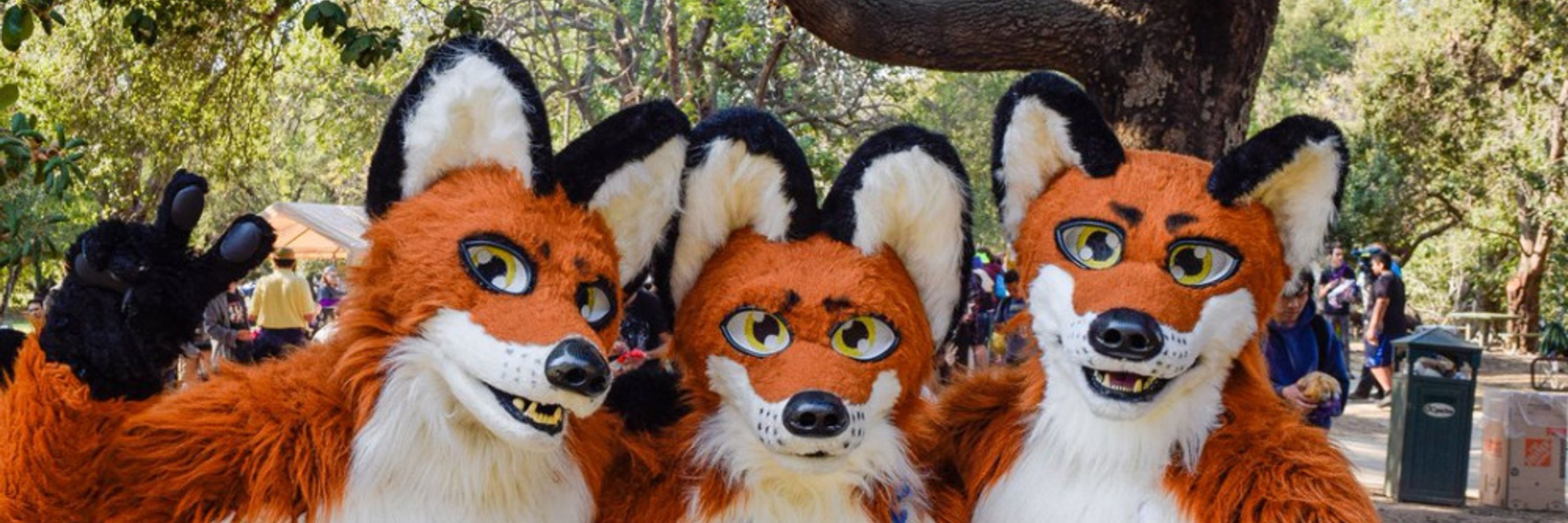 Whiskey Foxtrot