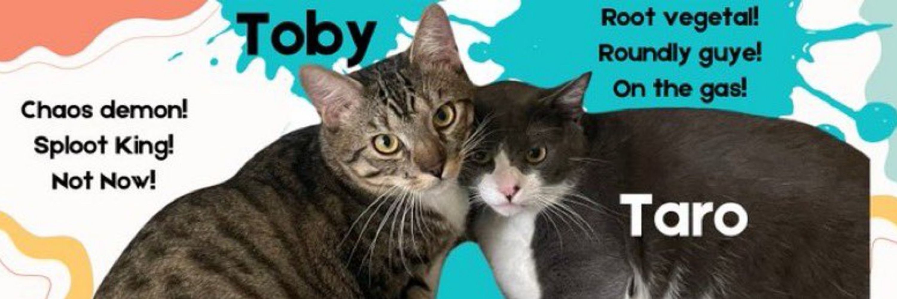 Toby & Taro