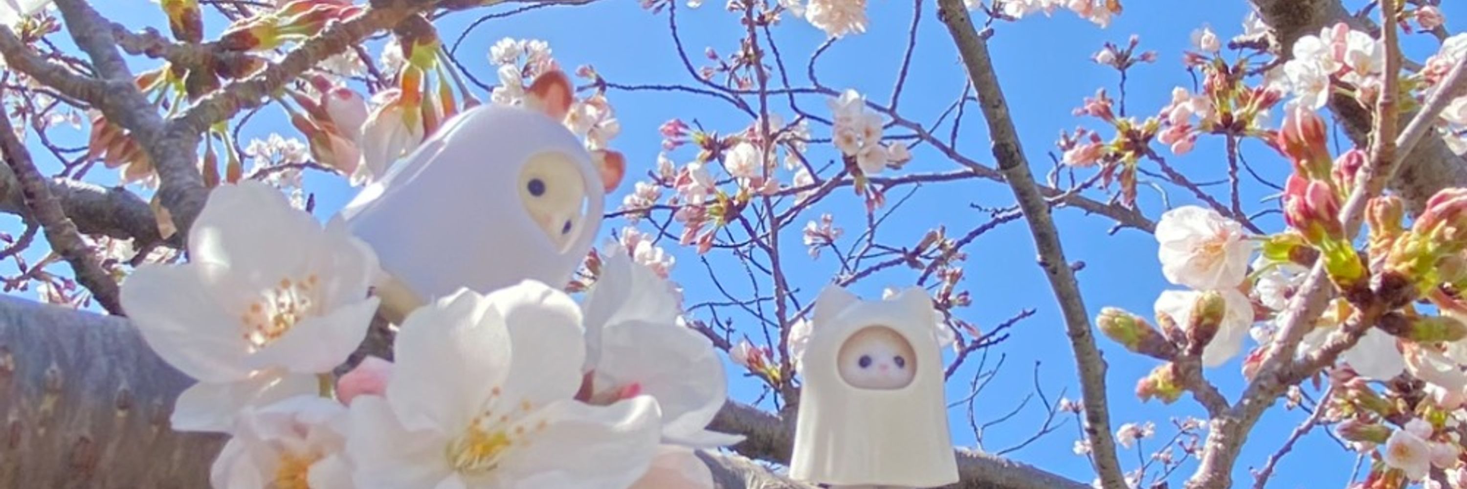 まおまお