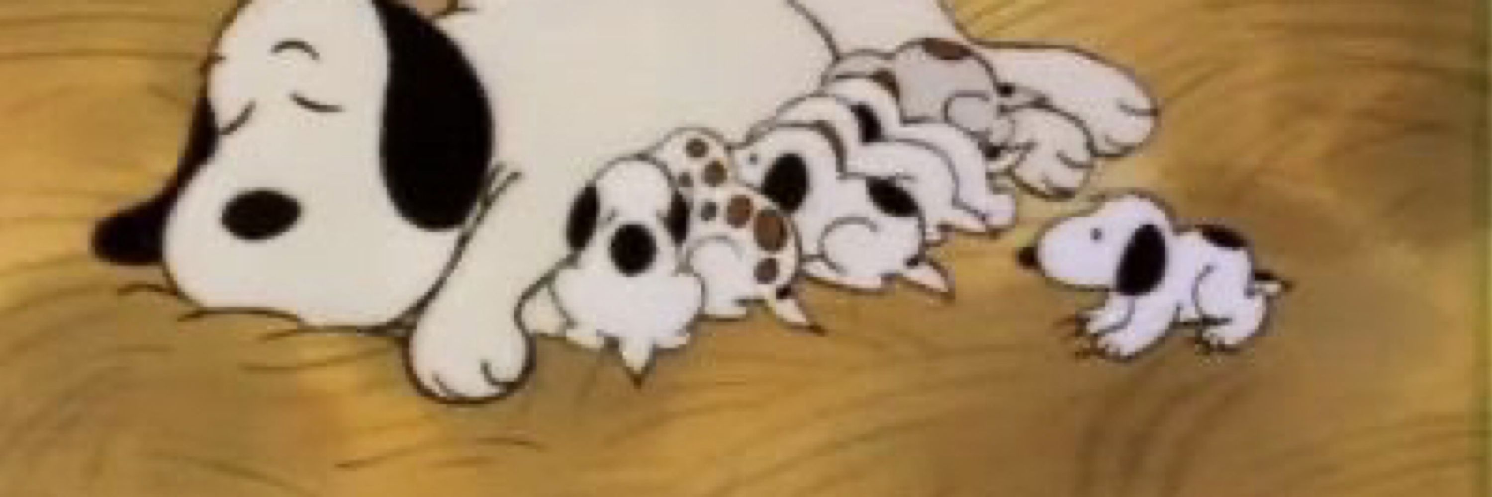 だん
