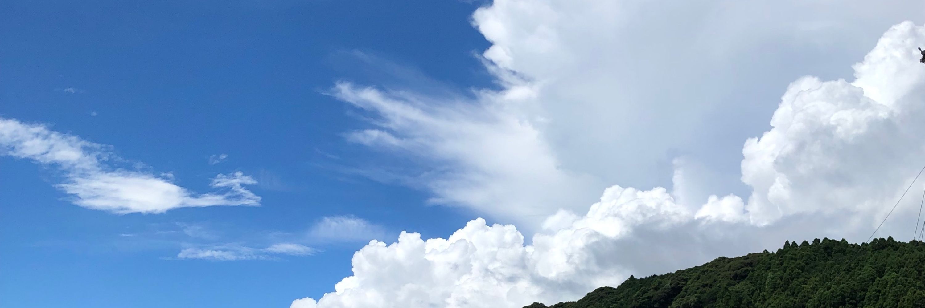 そすけ