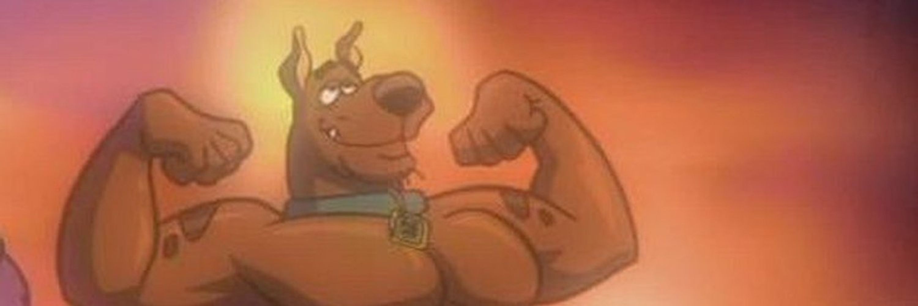 Scooby doo arocho