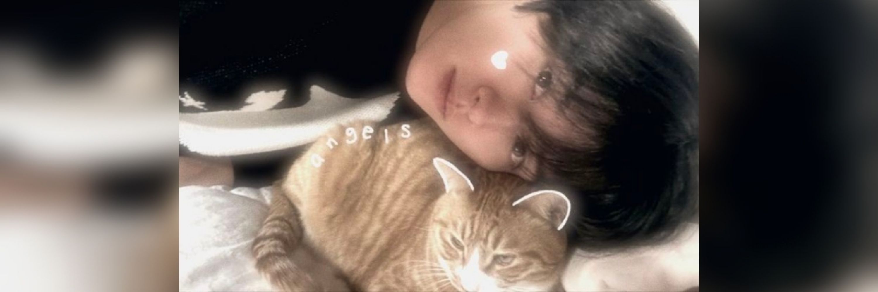 ⭒𝐂αt dαd enthusiαst ⋆