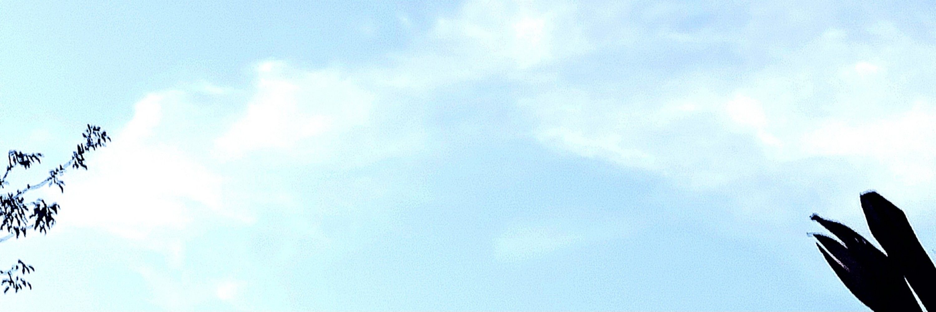 Duda