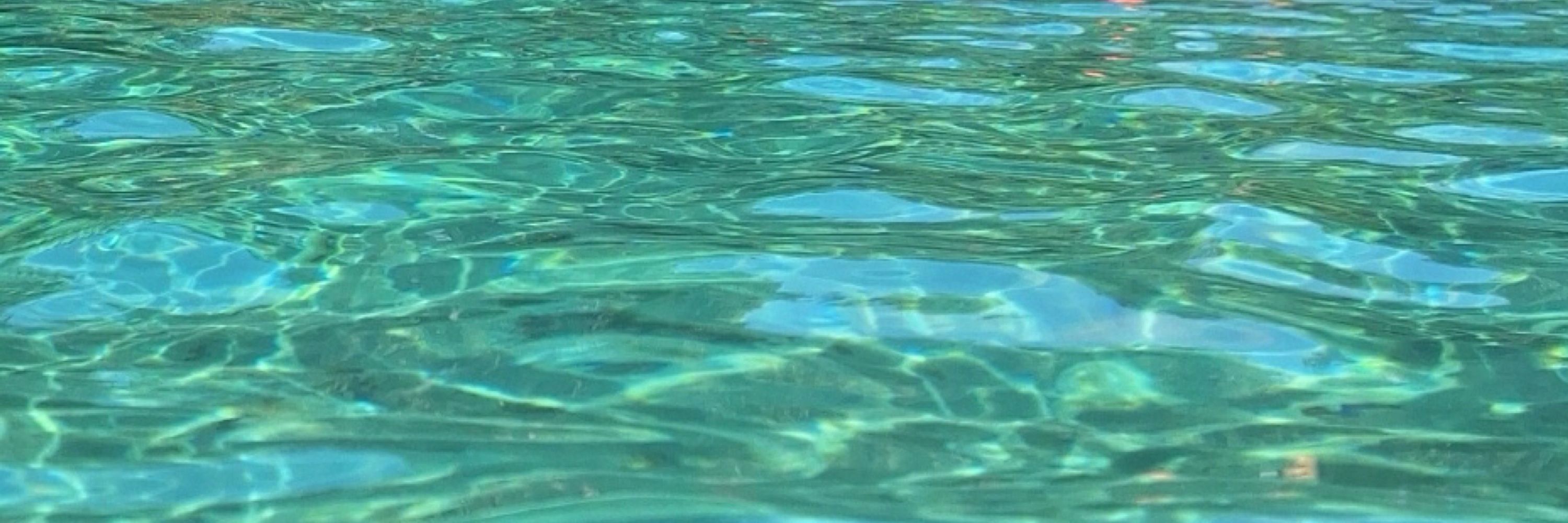 WaterWatcher